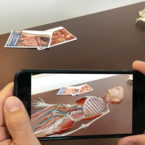 Human skeleton anatomy learning in augmented reality